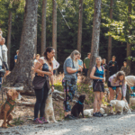 Puppy Training