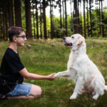 dogacademy-37