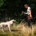 dogacademy-46