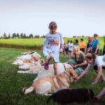 dogacademy-55